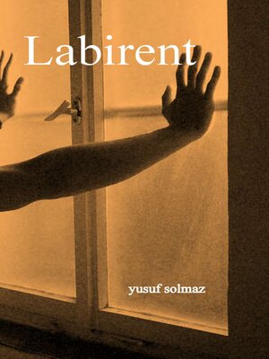 cover image of Labirent